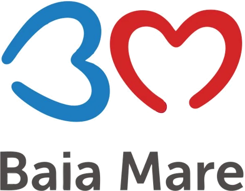 Primăria Municipiului Baia Mare
